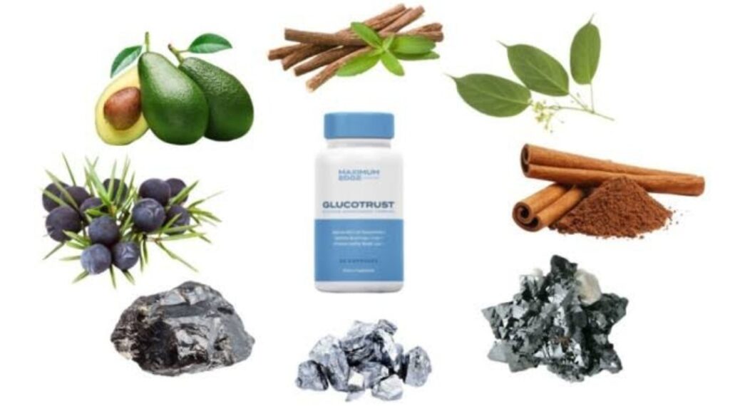 GlucoTrust 2