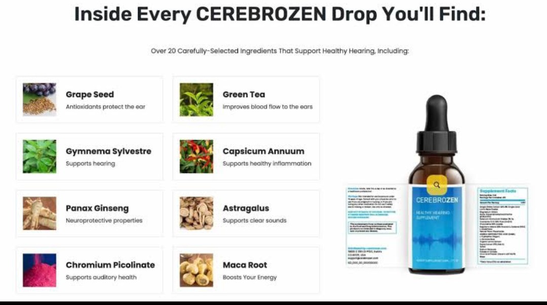 CerebroZen 44