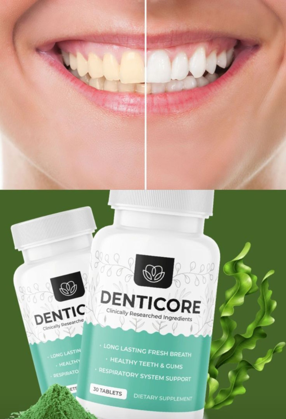 DentiCore 766