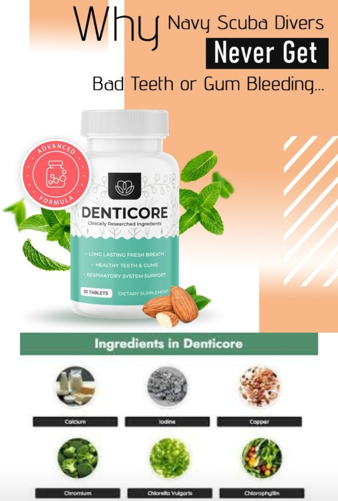 DentiCore 8798